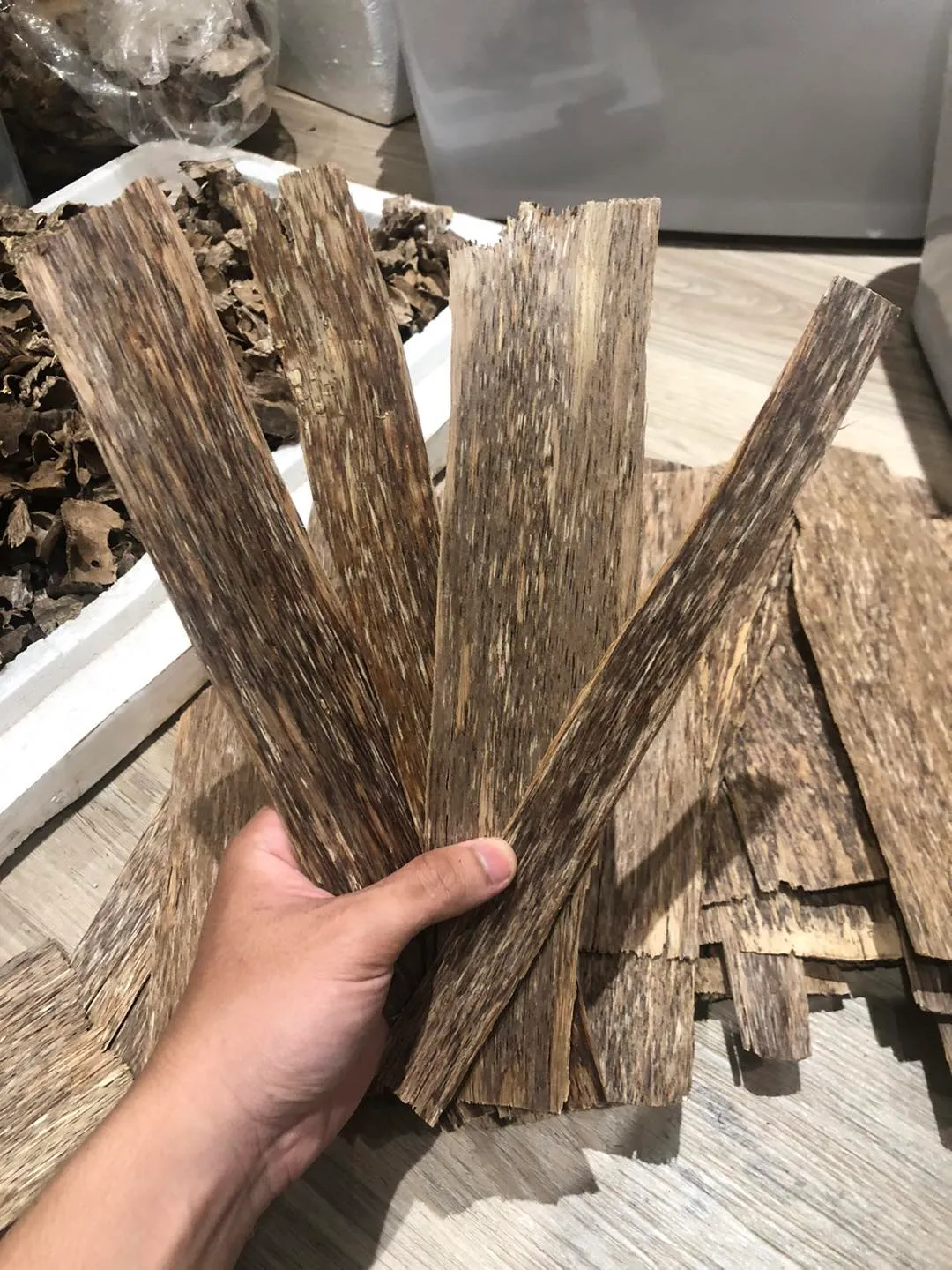 Vietnamese Agarwood Slabs – Premium “Sanh” with Single-Side Oil Layer